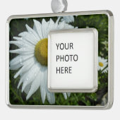 雨粒オンデイジーIIワイルドフラワーフローラ シルバープレートフレームオーナメント (左)
