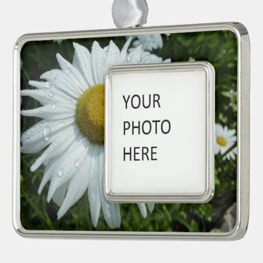雨粒オンデイジーIIワイルドフラワーフローラ シルバープレートフレームオーナメント (左)