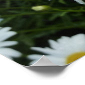 雨粒オンデイジーIIワイルドフラワーフローラ ポスター (角)