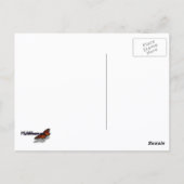 雨粒オンデイジーIIワイルドフラワーフローラ ポストカード (裏面)