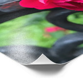 雨粒ピンクローズフラワーバラ雨日NYC フォトプリント            (角)