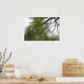 雨粒ポスター付き松葉 ポスター (キッチン)