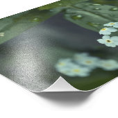 雨粒保落ち フォトプリント            (角)