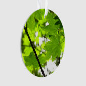 雨粒葉付きメエデ オーナメント (正面)