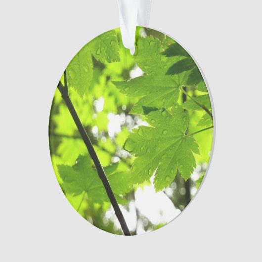 雨粒葉付きメエデ オーナメント (正面)