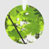 雨粒葉付きメエデ オーナメント (正面)