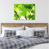 雨粒葉付きメエデ キャンバスプリント (インサイチュ (寝室))