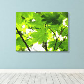 雨粒葉付きメエデ キャンバスプリント (インサイチュ (ウッドフロア))