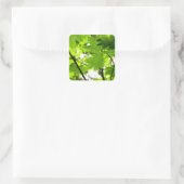 雨粒葉付きメエデ スクエアシール (バッグ)