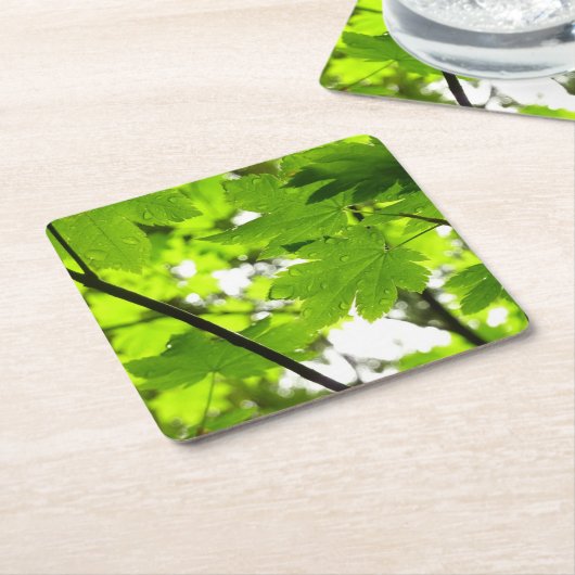 雨粒葉付きメエデ スクエアペーパーコースター (アングル)
