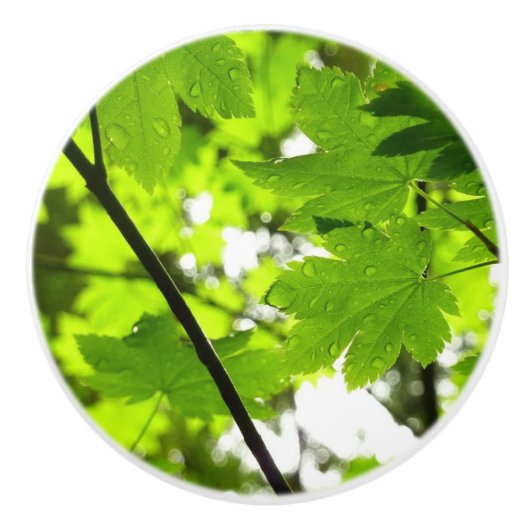 雨粒葉付きメエデ セラミックノブ (正面)