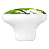 雨粒葉付きメエデ セラミックノブ (側面)