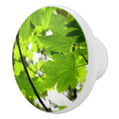 雨粒葉付きメエデ セラミックノブ (右)