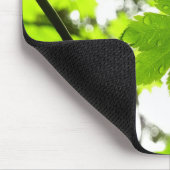 雨粒葉付きメエデ マウスパッド (コーナー)