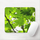 雨粒葉付きメエデ マウスパッド (マウス)