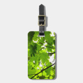 雨粒葉付きメエデ ラゲッジタグ (正面縦)