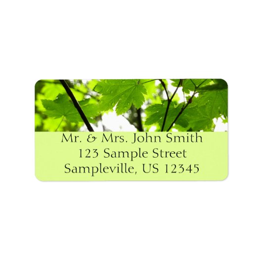 雨粒葉付きメエデ ラベル (正面)