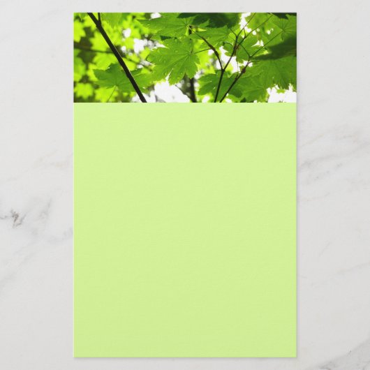 雨粒葉付きメエデ 便箋 (正面)