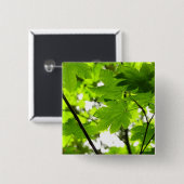 雨粒葉付きメエデ 缶バッジ (正面&裏面)