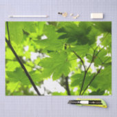 雨粒葉付きメエデ 薄葉紙 (クラフト)