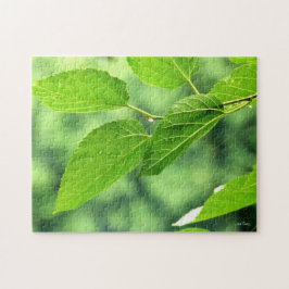 「雨粒葉付き夏のパズル」ジグソー ジグソーパズル