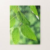 「雨粒葉付き夏のパズル」ジグソー ジグソーパズル (縦)