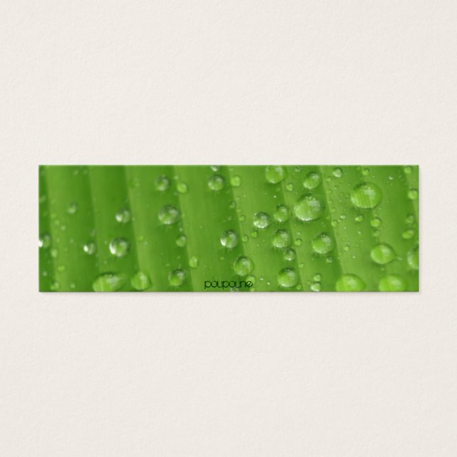 雨粒 (正面)