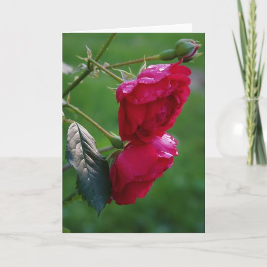 雨粒 カード (正面)