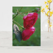 雨粒 カード (黄色い花)