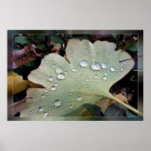 雨粒 ポスター (正面)