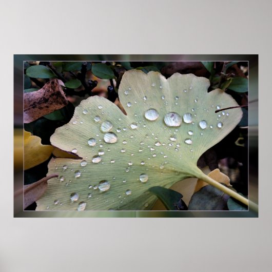 雨粒 ポスター (正面)