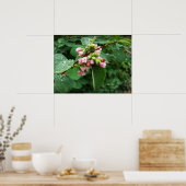 雨粒 ポスター (キッチン)