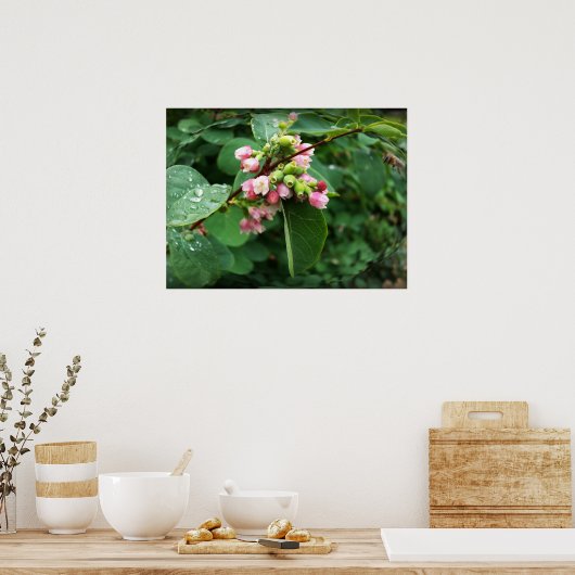 雨粒 ポスター (キッチン)