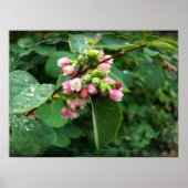 雨粒 ポスター (正面)