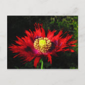 雨粒 ポストカード (正面)