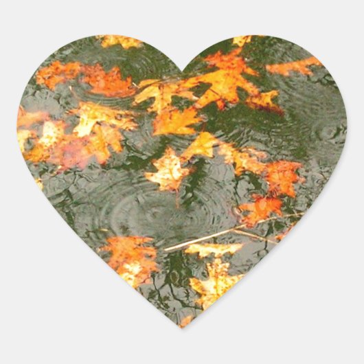 雨落ちた葉中 ハートシール (正面)