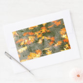 雨落ちた葉中 長方形シール (封筒)