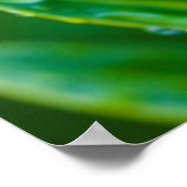 雨葉の後の緑のポスター ポスター (角)