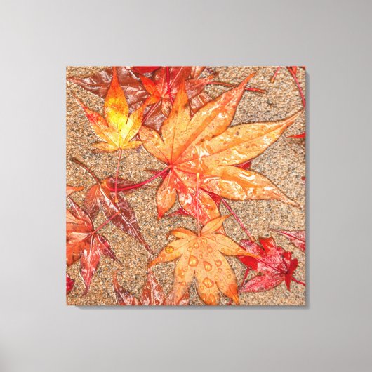 雨離れ中の赤い キャンバスプリント (正面)