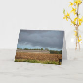 雨雲 カード (黄色い花)