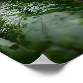 雨鮮やかの森の青い毒ダーツカエル ポスター (角)