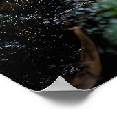 雨鮮やか林雨の蛇 ポスター (角)