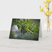 雨、カード カード (黄色い花)