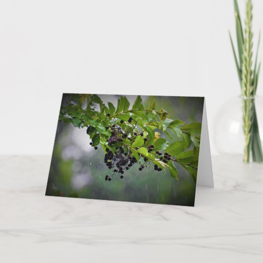 雨、カード カード (正面)