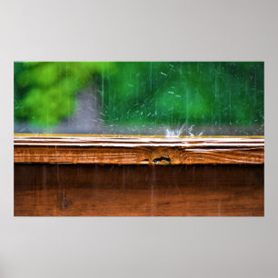 雨 ポスター