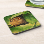 雨、雨は遠くにに行きます コースター (左側)