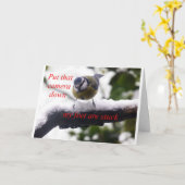 雪おもしろい鳥 カード (黄色い花)