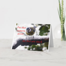 雪おもしろい鳥 カード