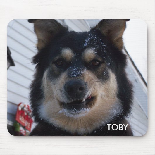 雪およびクリスマスおよびデボンの射撃、発砲はそりを…撃ちます マウスパッド (正面)