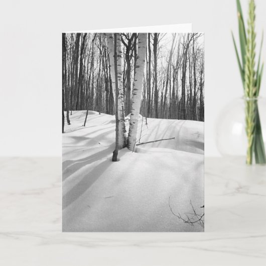 雪および白い樺の木 カード (正面)